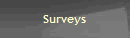 Surveys